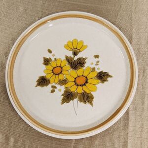 Mikasa Stone Manor Melissa F5811 Dinner Plate 11" Vintage